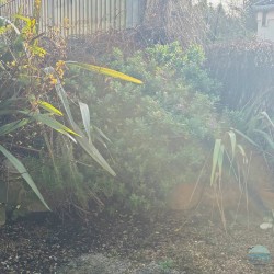 Kivel Cottage, Portland - self-catering holiday accommodation