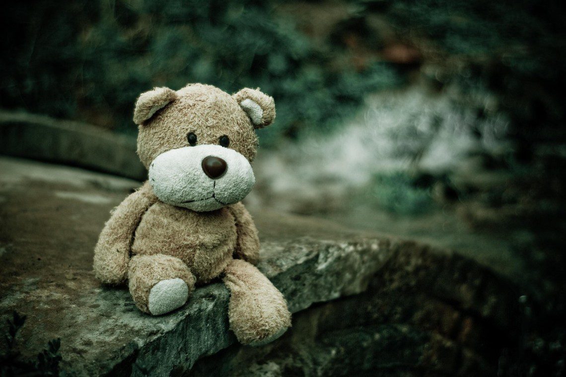 Lost property: A lost bear waiting to be reunited