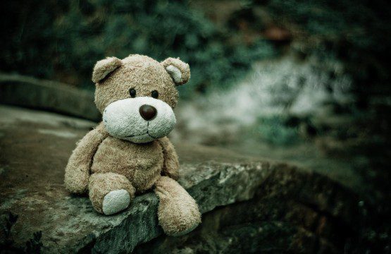 Lost property: A lost bear waiting to be reunited